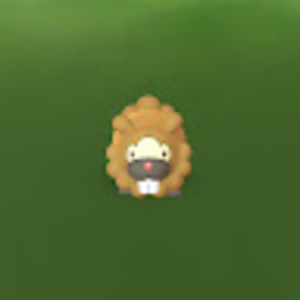 Meet your Posher, Gabriel